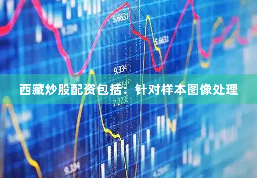 西藏炒股配资包括：针对样本图像处理