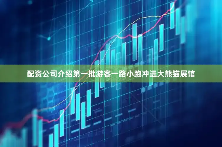 配资公司介绍第一批游客一路小跑冲进大熊猫展馆