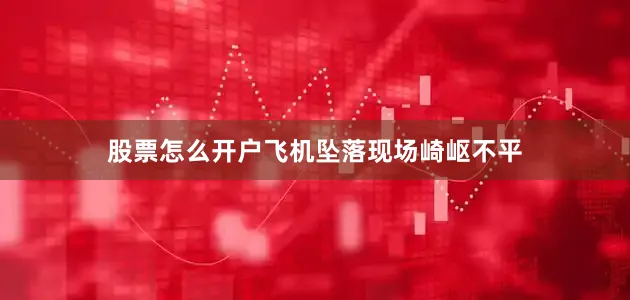 股票怎么开户飞机坠落现场崎岖不平