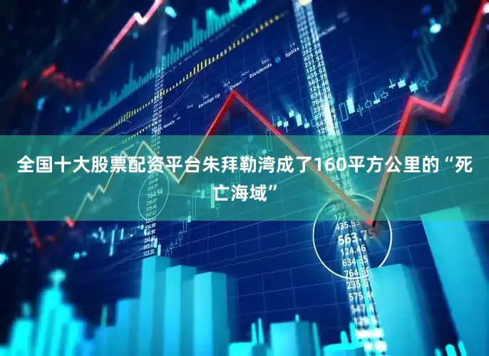全国十大股票配资平台朱拜勒湾成了160平方公里的“死亡海域”