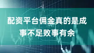 配资平台佣金真的是成事不足败事有余