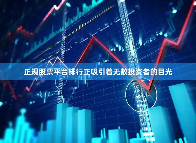 正规股票平台排行正吸引着无数投资者的目光