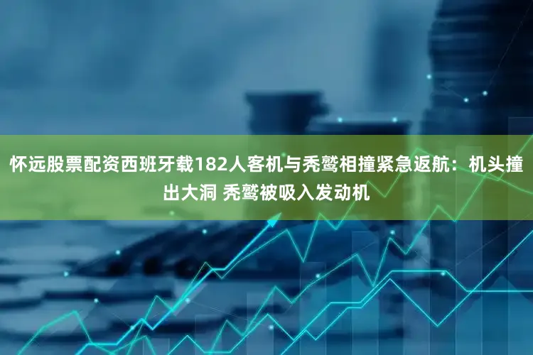 怀远股票配资西班牙载182人客机与秃鹫相撞紧急返航：机头撞出大洞 秃鹫被吸入发动机
